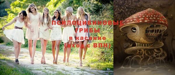 СК Мегион