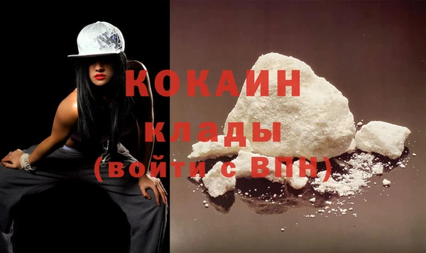 стафф Михайлов
