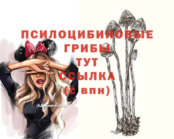 Альфа ПВП Михайловск